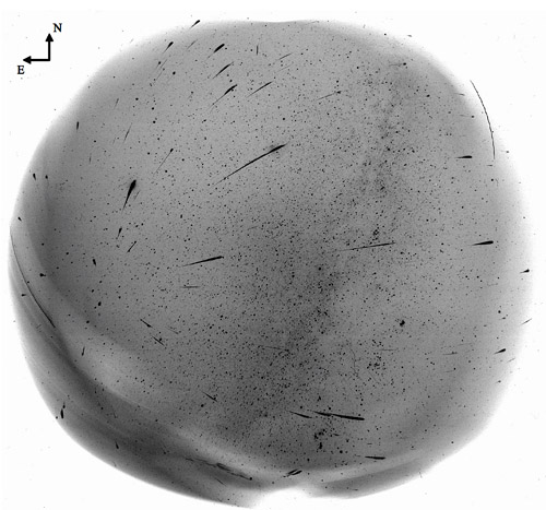 Pointovaná  snímka dráh 168 Leoníd zo 16. na 17. novembra 1998 (J. Tóth, T. Paulech, AGO FMFI UK Modra).